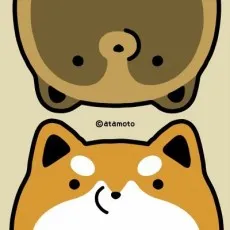 Atamoto