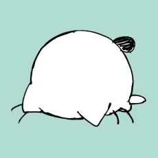 An Chanoki