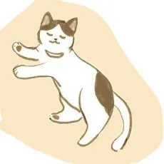 Neko Shakushi