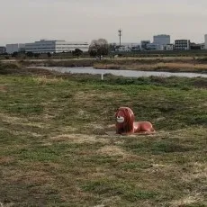 Kumosoku