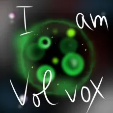 Volvox Sumikawa