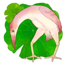 Katoh