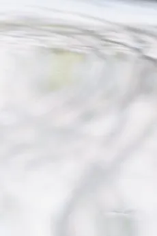 Kouko Okuyama