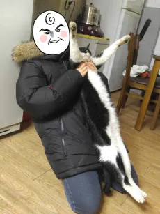 Hongkki