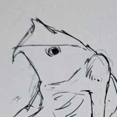 Kizuku