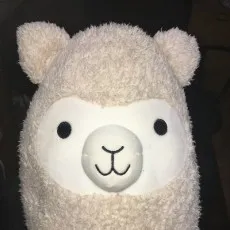 Minapaka
