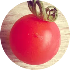 pomodorosa