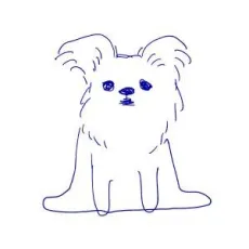 Ama Mizui