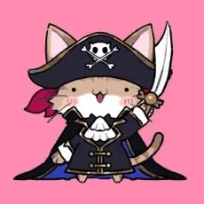 Pirate Cat