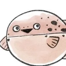 Ichimaruni