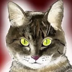 Shimada