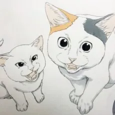 Nigotaro