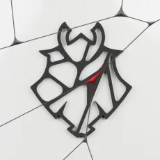 G2 Esports