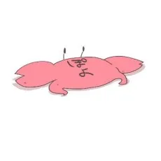 Poyo