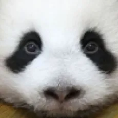 Liudan Pa Shui