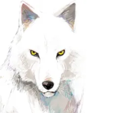 Kuroemon