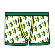 Nanigashi