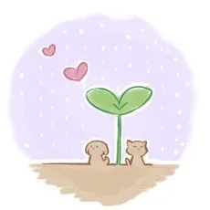 Taro Amame