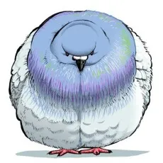 Ugebeso Hatsumaru