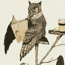 Yokake Asamichi