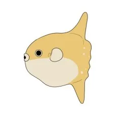 Kashio Deji