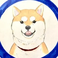 Shiba