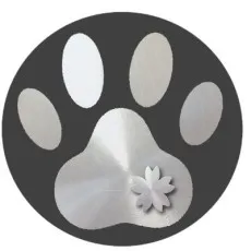 Neko Haigin