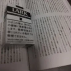 Gamu Fukagawa