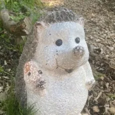 Mansui