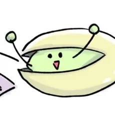 Pisuko Mameta
