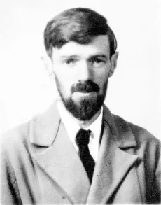 David Lawrence