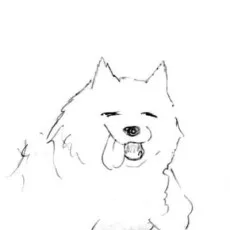 Meika Hitsuji