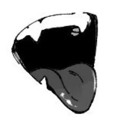 Ikko