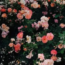 0510