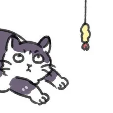 Unicica